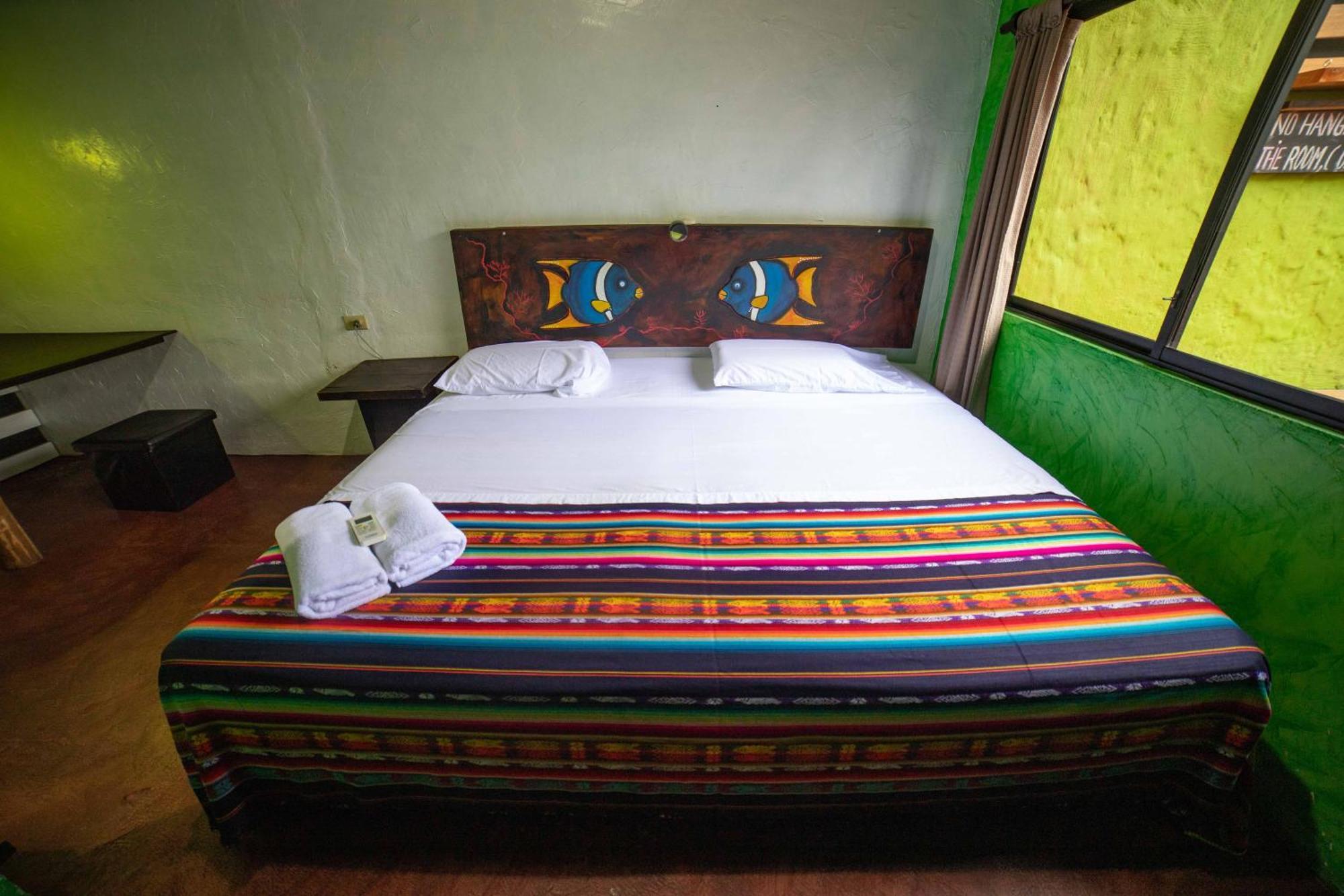 Galapagos Morning Glory Hostel Puerto Ayora  Phòng bức ảnh