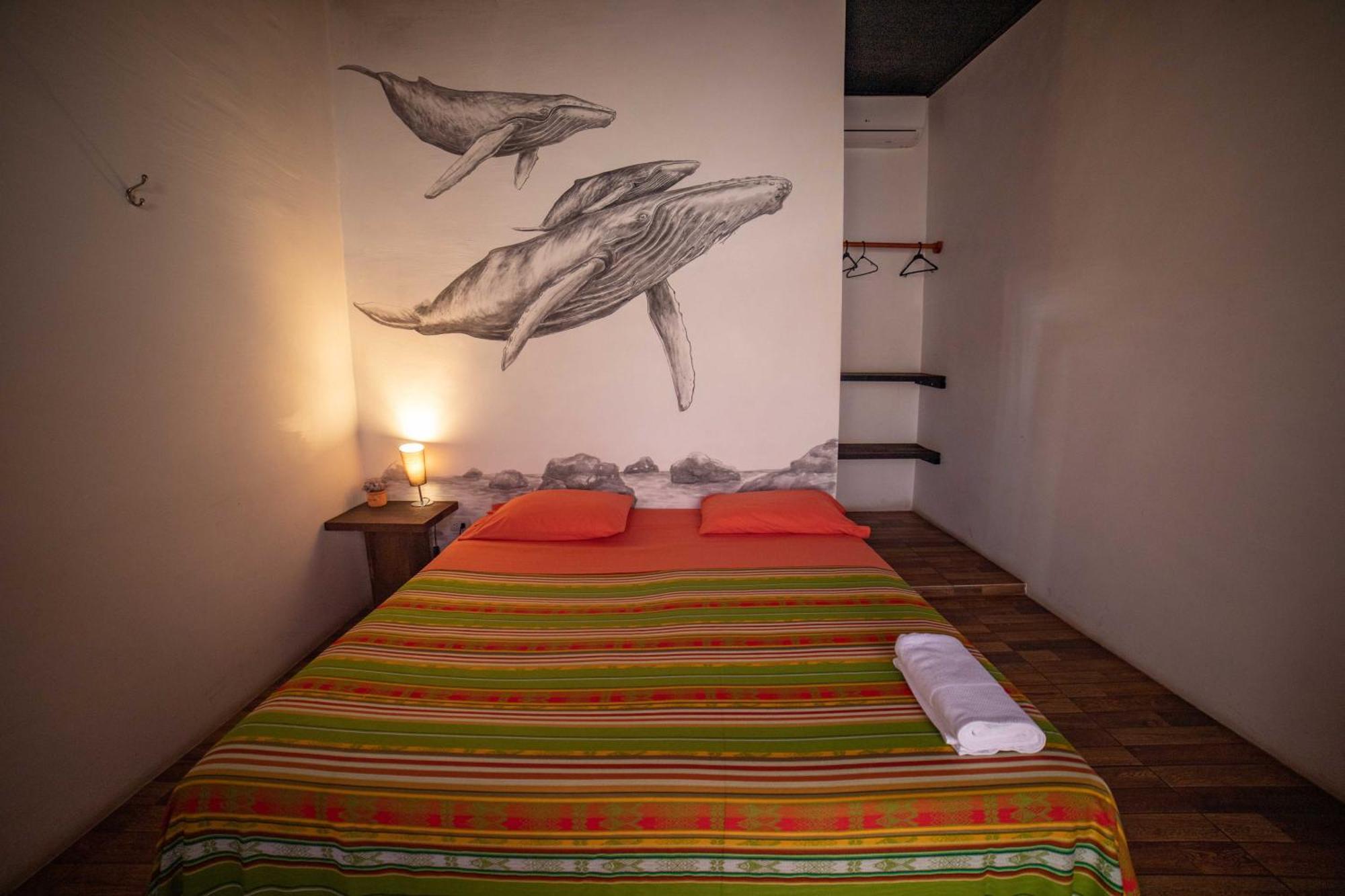 Galapagos Morning Glory Hostel Puerto Ayora  Phòng bức ảnh