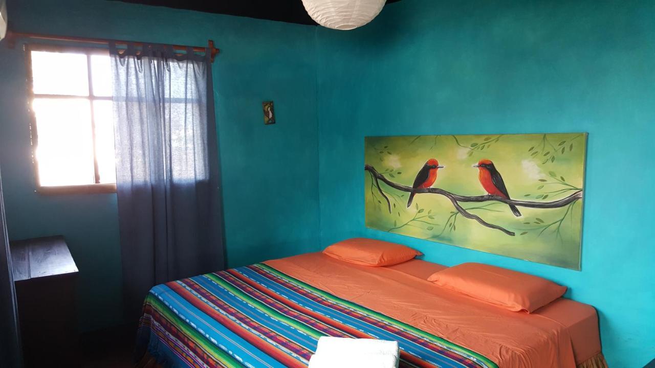 Galapagos Morning Glory Hostel Puerto Ayora  Ngoại thất bức ảnh