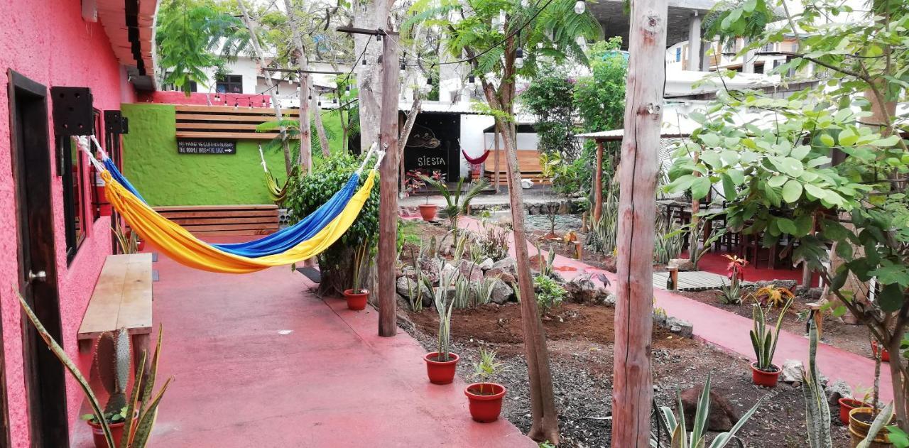 Galapagos Morning Glory Hostel Puerto Ayora  Ngoại thất bức ảnh