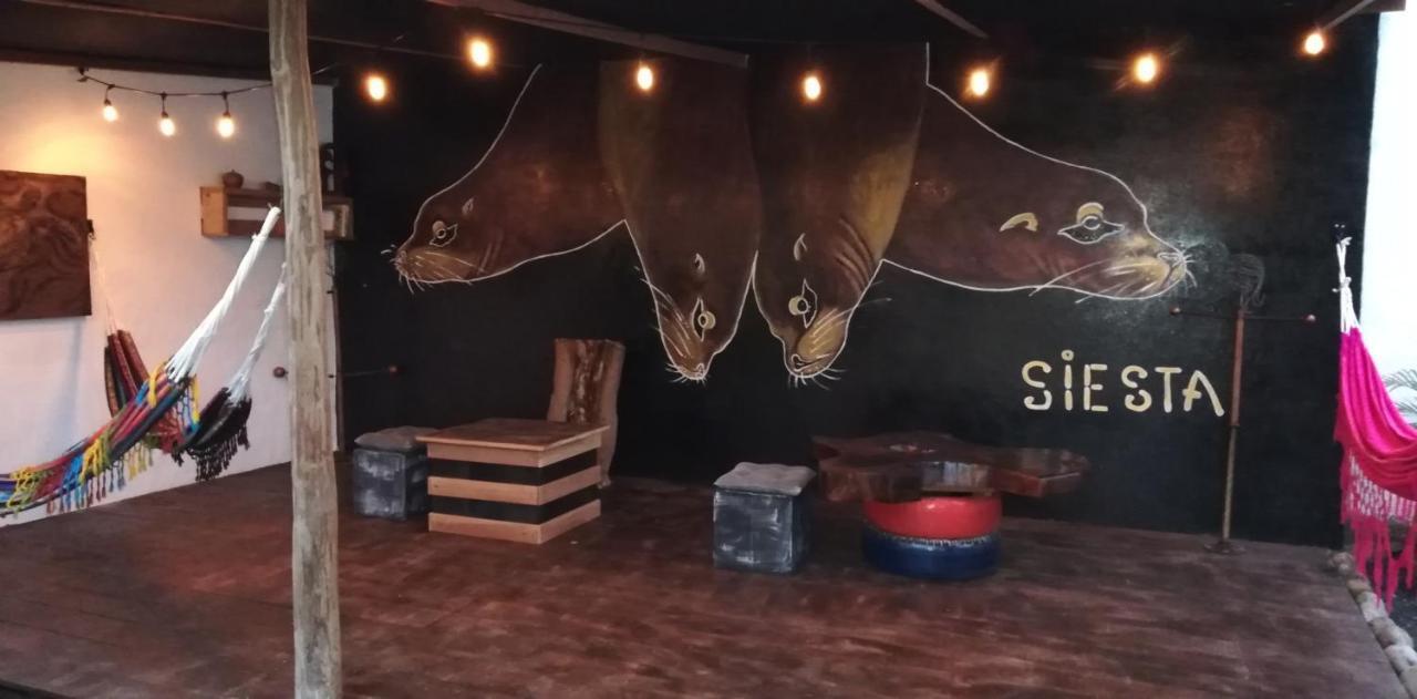 Galapagos Morning Glory Hostel Puerto Ayora  Ngoại thất bức ảnh