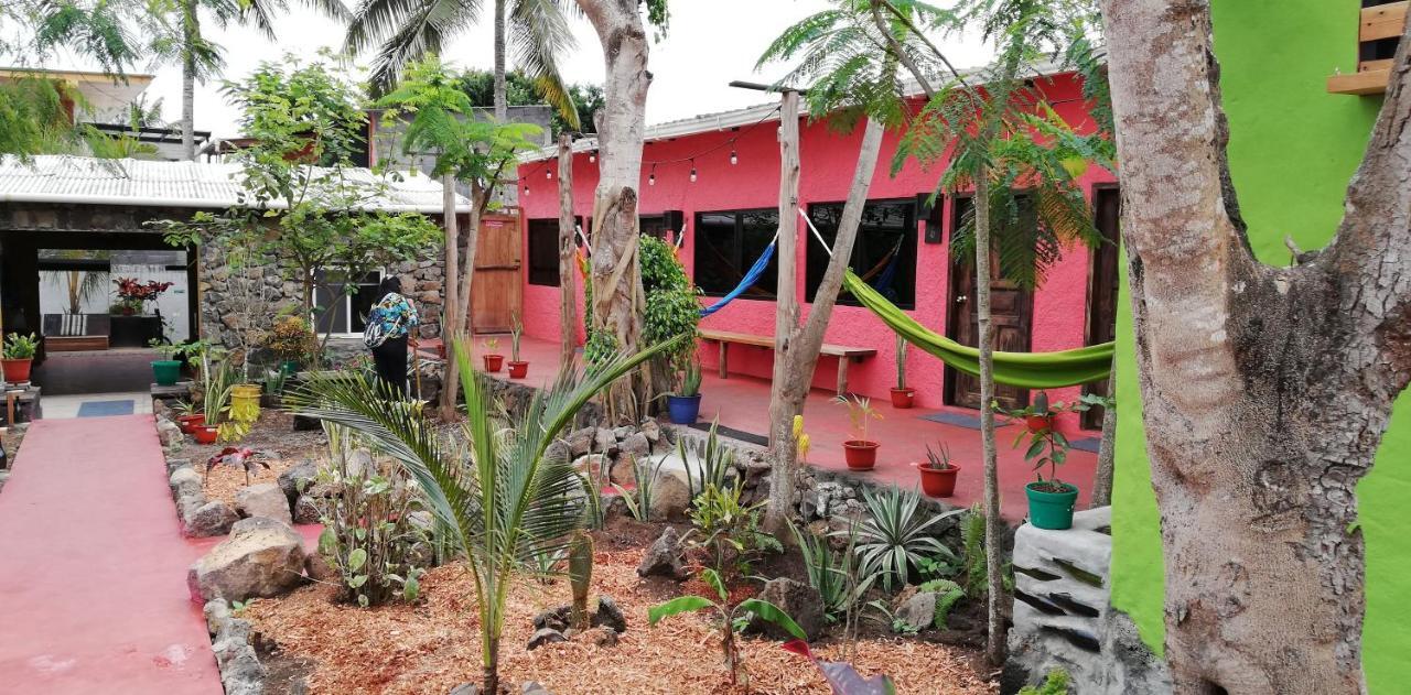 Galapagos Morning Glory Hostel Puerto Ayora  Ngoại thất bức ảnh
